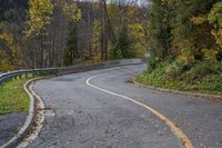 Lush Forest Road in Autumn: A Scenic View
