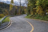 Lush Forest Road in Autumn: A Scenic View