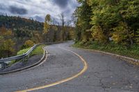 Lush Forest Road in Autumn: A Scenic View