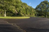 Lush Forest Road and North Carolina Vistas