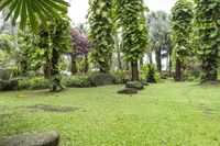 Exploring the Lush Botanical Jungle Garden