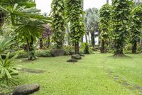 Exploring the Lush Botanical Jungle Garden