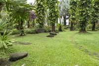 Exploring the Lush Botanical Jungle Garden