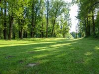 A Lush Garden Park on a Sunny Day