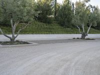 Lush Garden Parking Lot in Los Angeles, California, USA