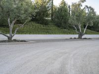 Lush Garden Parking Lot in Los Angeles, California, USA