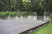 A Lush Garden in Shanghai, China