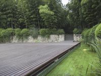 A Lush Garden in Shanghai, China