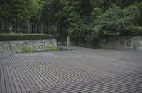 A Lush Garden in Shanghai, China