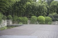 A Lush Garden in Shanghai, China