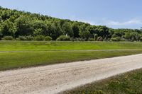 Lush Grass Field under a Clear Sky