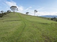 Lush Grass Valley in Australia