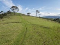 Lush Grass Valley in Australia