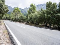 Lush Grassy Pathway: Exploring the Spanish Landscape