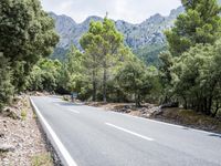 Lush Grassy Pathway: Exploring the Spanish Landscape