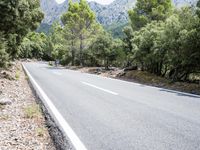 Lush Grassy Pathway: Exploring the Spanish Landscape