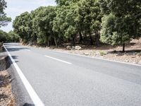 Lush Grassy Pathway: Exploring the Spanish Landscape