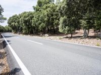 Lush Grassy Pathway: Exploring the Spanish Landscape