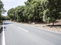 Lush Grassy Pathway: Exploring the Spanish Landscape