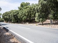 Lush Grassy Pathway: Exploring the Spanish Landscape