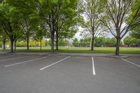 the car park is empty of any people around with trees in it and grass between them