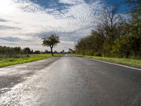 an empty rural road leads into a beautiful sunny day with a tree on the side