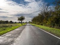 an empty rural road leads into a beautiful sunny day with a tree on the side