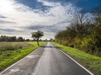 an empty rural road leads into a beautiful sunny day with a tree on the side