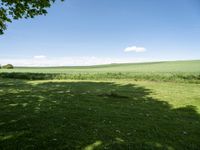 a grassy field with lots of trees in the distance and clouds on the sky above