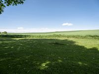 a grassy field with lots of trees in the distance and clouds on the sky above