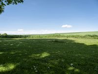 a grassy field with lots of trees in the distance and clouds on the sky above