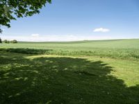 a grassy field with lots of trees in the distance and clouds on the sky above