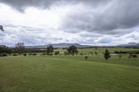 a lush green field with trees in the background and a few clouds over the hills