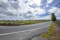 Lush Green Fields: An Agricultural Landscape