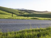 Lush Green Fields in the Highlands of California