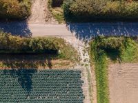 an aerial shot showing a farmer walking down the road in front of his crops and dirt area