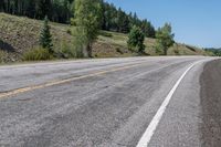 Lush Green Forest in Colorado: A Picture of Nature