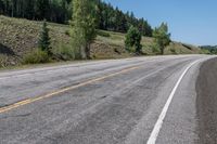 Lush Green Forest in Colorado: A Picture of Nature