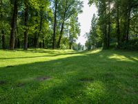 a field with green grass surrounded by trees and blue skies in the back ground with a bright sun