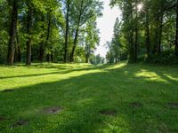 a field with green grass surrounded by trees and blue skies in the back ground with a bright sun