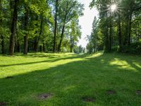 a field with green grass surrounded by trees and blue skies in the back ground with a bright sun