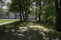 Lush Green Forest in Hamilton, Ontario