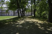 Lush Green Forest in Hamilton, Ontario