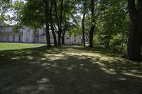 Lush Green Forest in Hamilton, Ontario