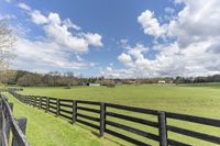 horses grazing in a large pasture with an open sky behind them in the background, and trees and grass