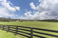 horses grazing in a large pasture with an open sky behind them in the background, and trees and grass