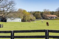 Lush Green Grass on a Land Lot in Ontario