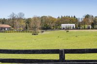 Lush Green Grass on a Land Lot in Ontario