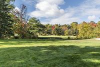 Lush Green Grass Lawn in a Canadian Park