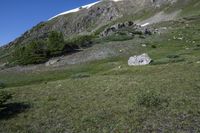 Lush Green Grass on Mountain Landforms